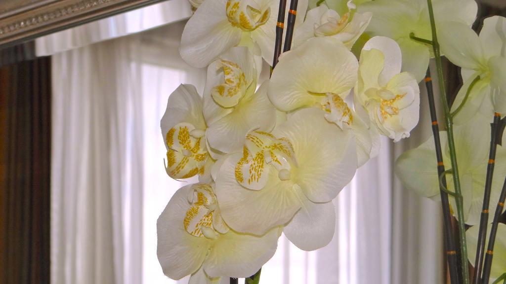 Jessamine House Hotel Грейвсенд Екстер'єр фото